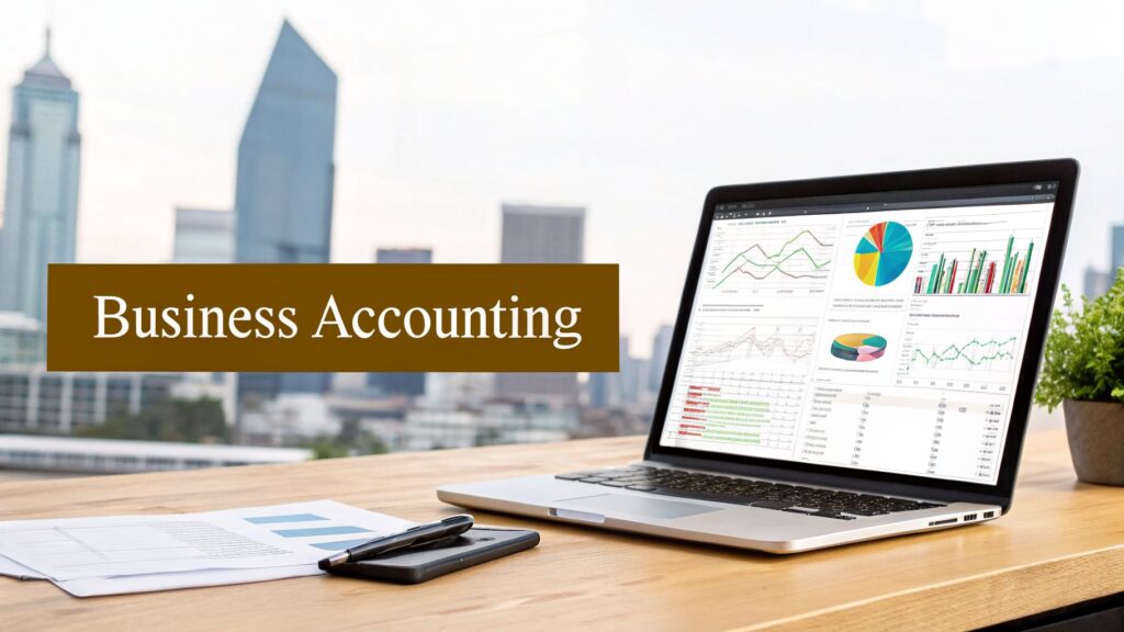 A Guide to Business Accounting Programs for GCC Firms 6